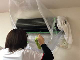 �����񍐎ʐ^