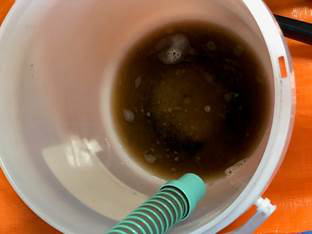 �����񍐎ʐ^