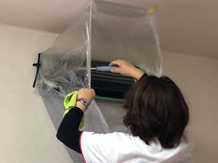 �����񍐎ʐ^